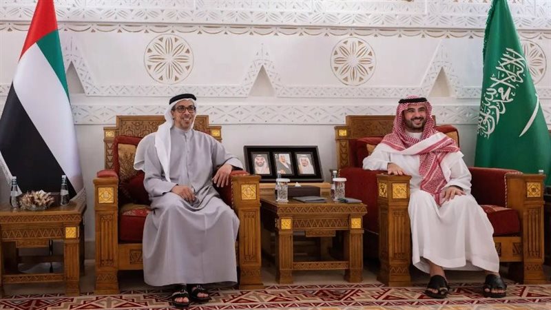 نائب الرئيس الإماراتي