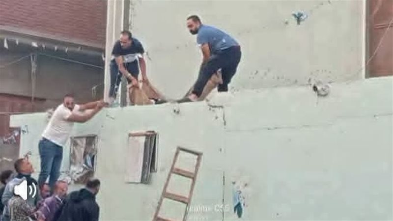 سقوط فتاة، فيتو