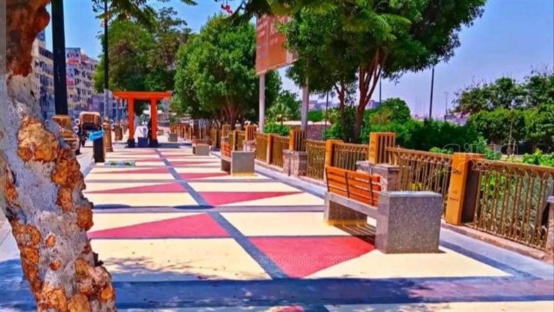 محافظ اسوان يوجه