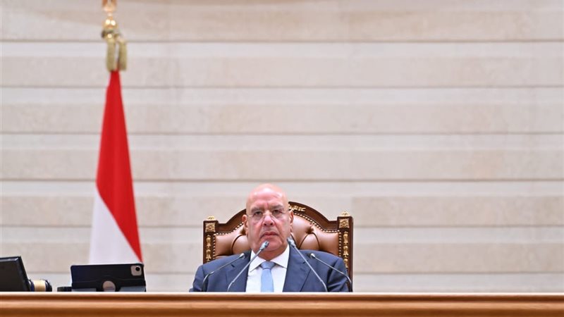 المستشار هشام بدوي