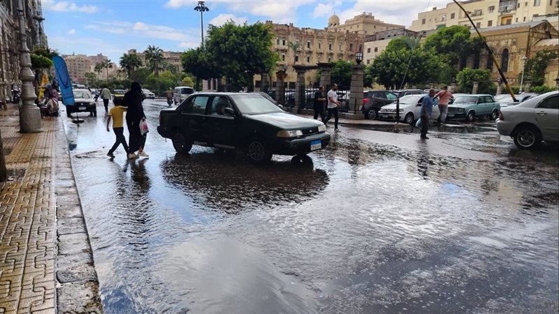 الاسكندريه 