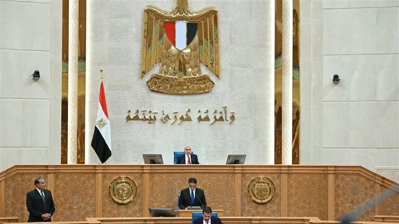 المستشار عصام فريد