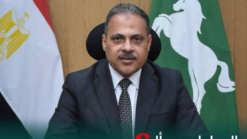  محافظ الشرقية