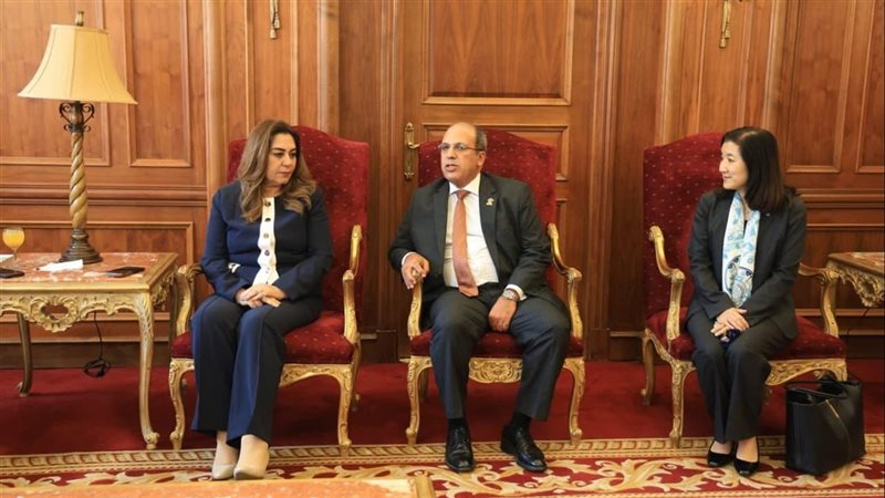 وزيرة التنمية المحلية