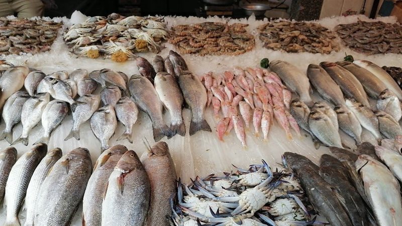 أسعار السمك اليوم،