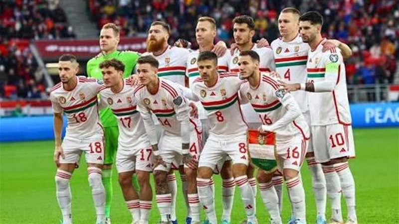 المجر، فيتو