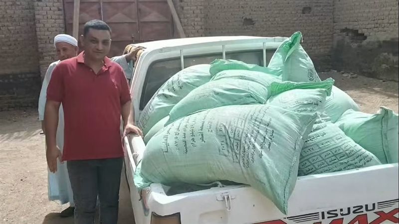 دقيق 