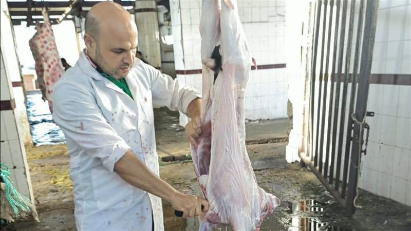 إعدام رأسين من الماشية