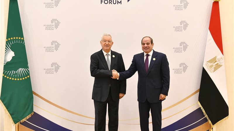 الرئيس السيسي، فيتو