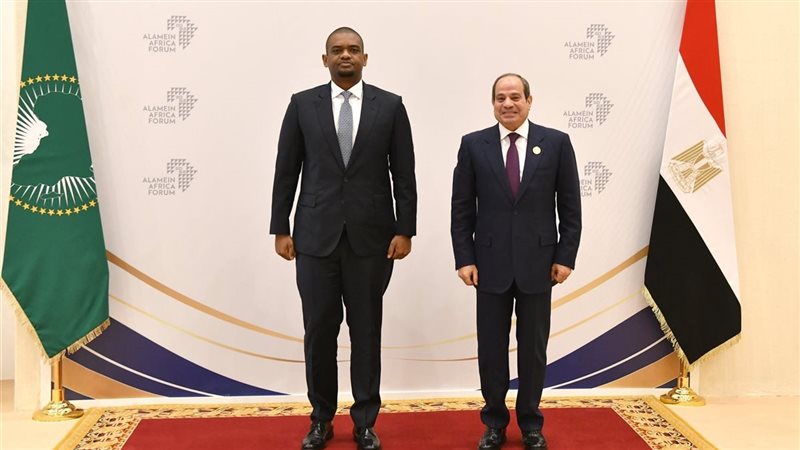 الرئيس السيسي
