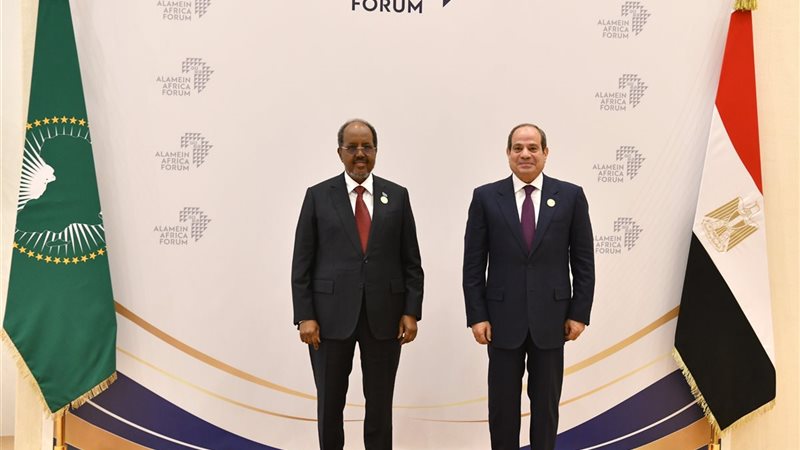 الرئيس السيسي