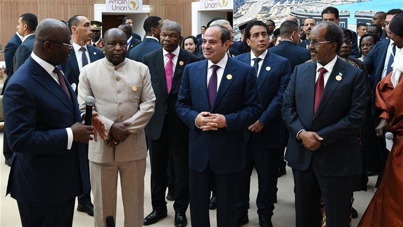 الرئيس السيسي، فيتو