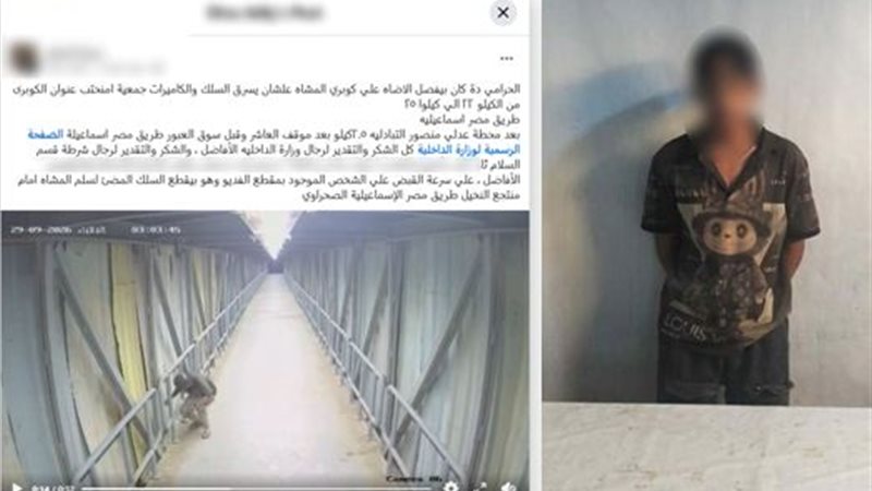  لص أسلاك أعمدة الكهرباء