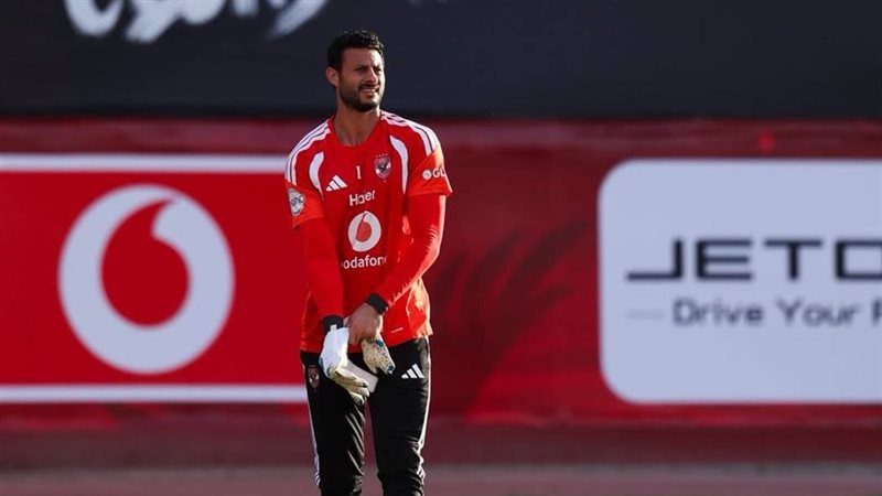 محمد الشناوي 
