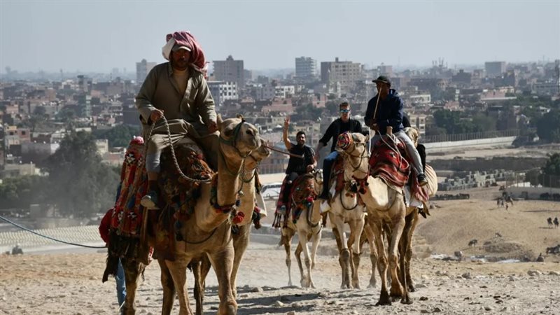 تفسير حلم ركوب الجمل