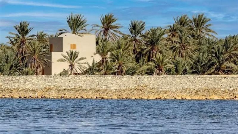 واحة سيوة، فيتو