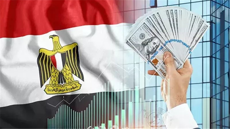 الاستثمار في مصر،