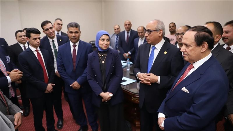 مجلس الدولة 