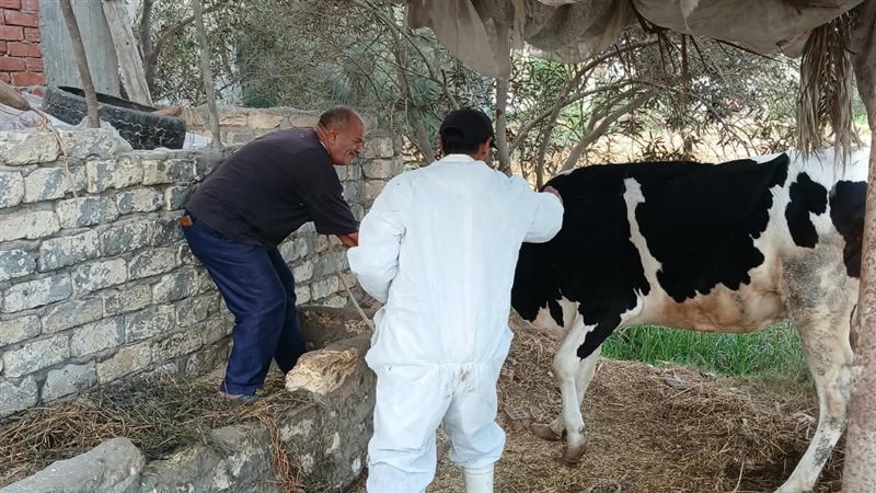 جانب من الحملات،فيتو