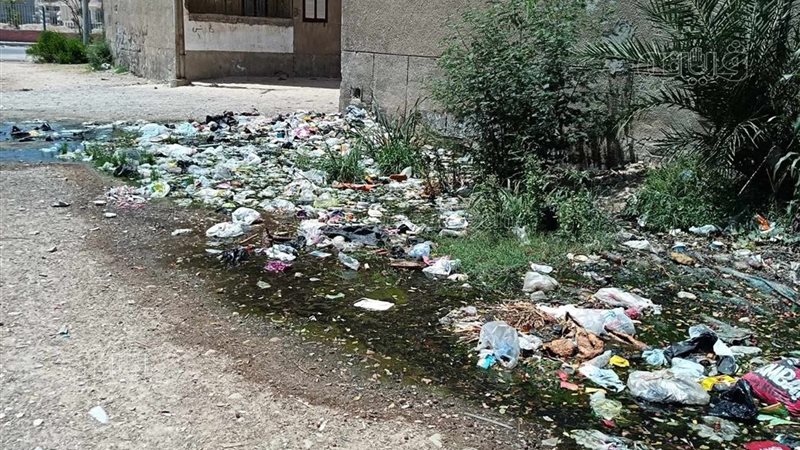 قنا، فيتو