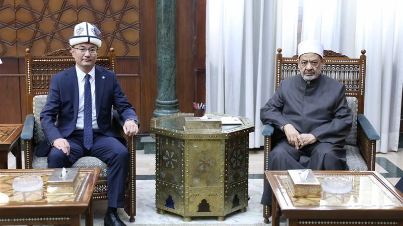 شيخ الأزهر وسفير