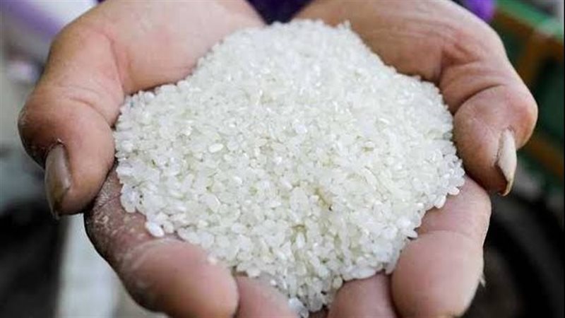 سعر الارز 