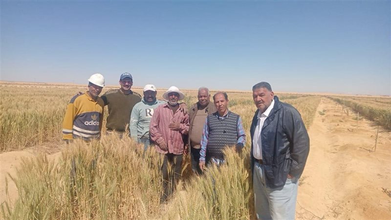 الزراعة