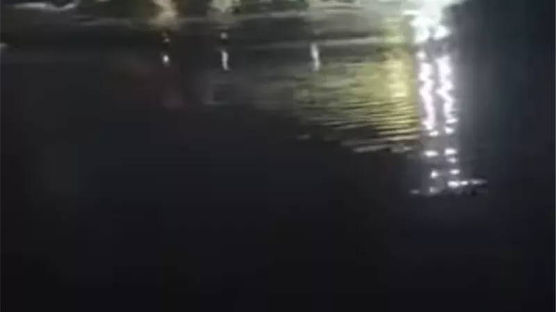 انتشال السيارة 
