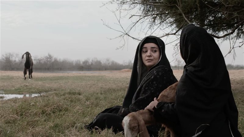 فيلم الخبيث