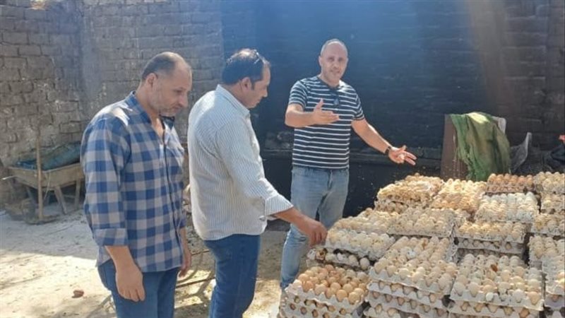 ضبط 105 ألف بيضة