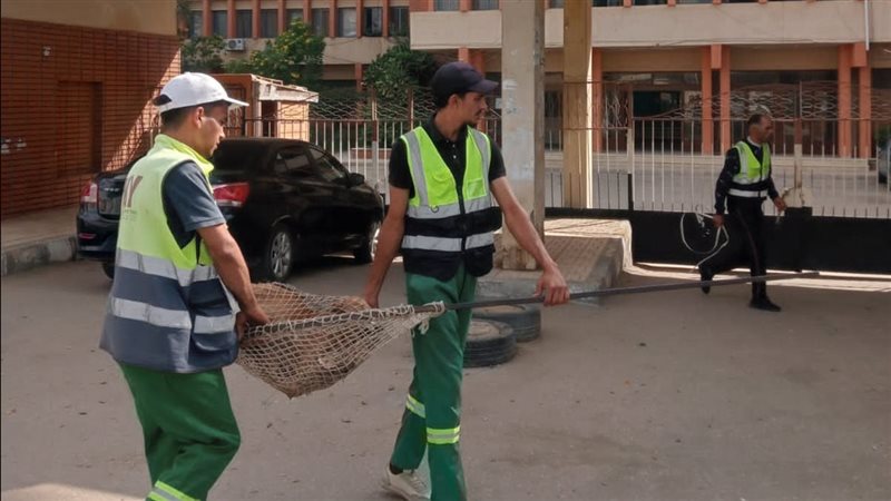 حملات علي الكلاب