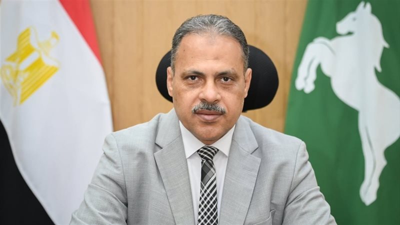 محافظ الشرقية 