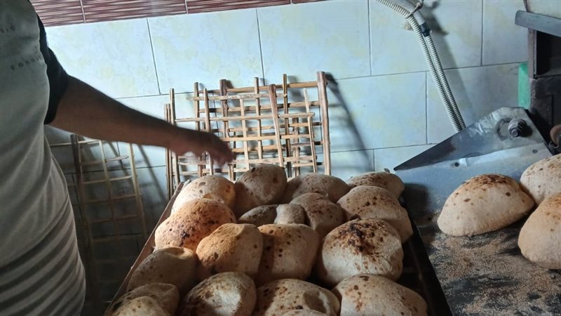 جانب من الحملات،فيتو