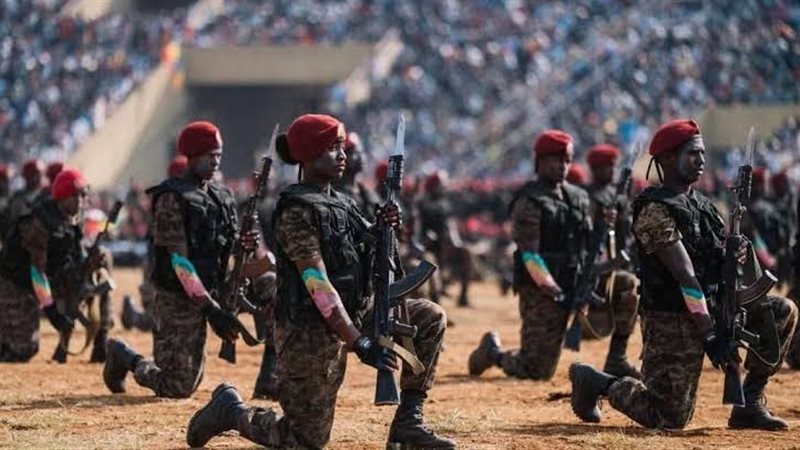 الجيش الأقيوبى، فيتو