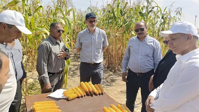 الزراعة تختبر روشتة
