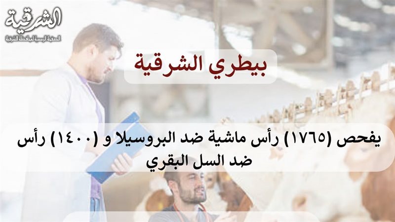 حملات بيطرية 