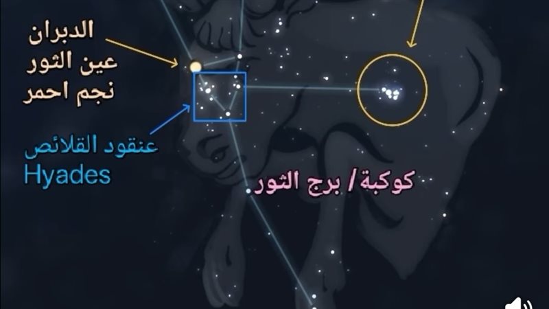 كوكبة الثور 