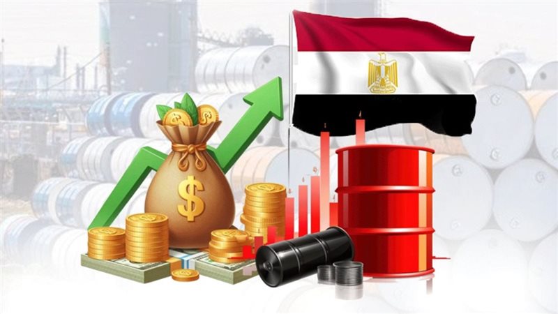 اقتصاد، فيتو
