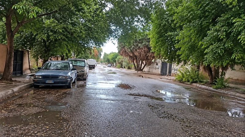 قنا،فيتو