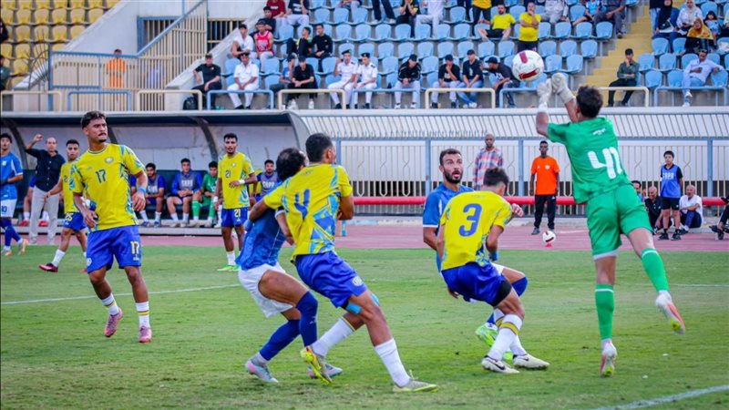 دوري المحترفين 