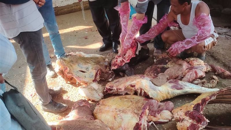 إعدام ذبيحة مصابة