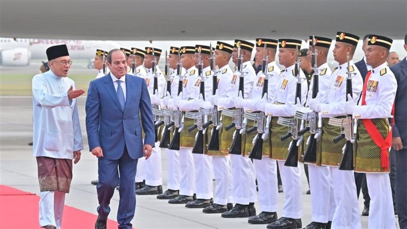 الرئيس السيسي، فيتو