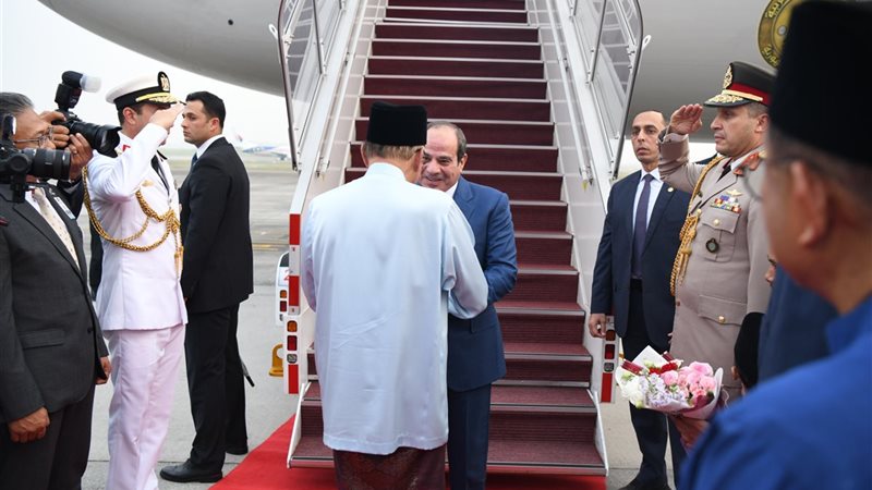 الرئيس السيسي، فيتو
