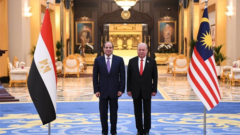 الرئيس السيسي وملك