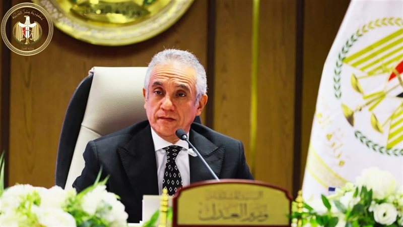  المستشار محمود حلمي