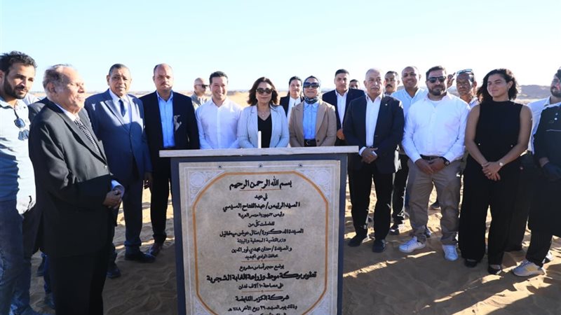 حجر الأساس، فيتو