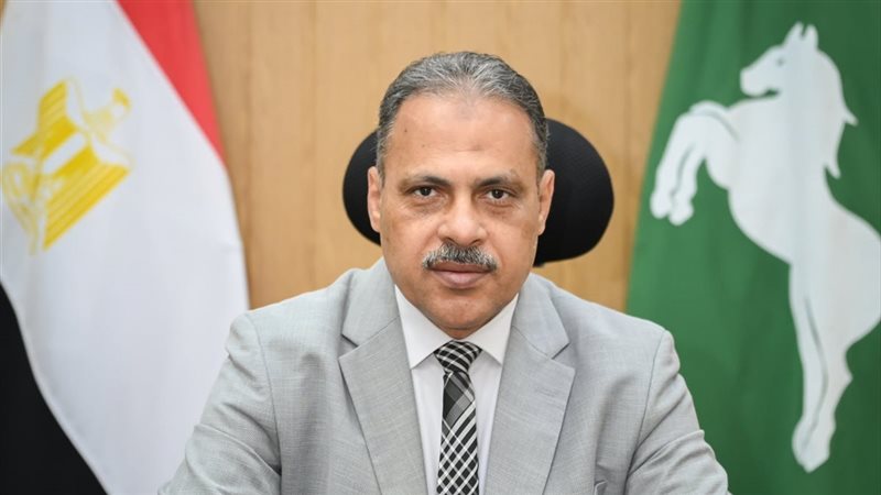  محافظ الشرقية