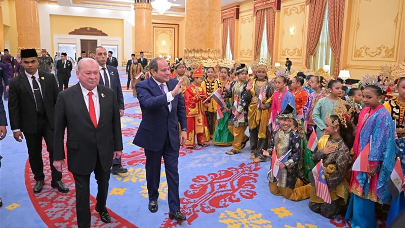 الرئيس السيسي، فيتو