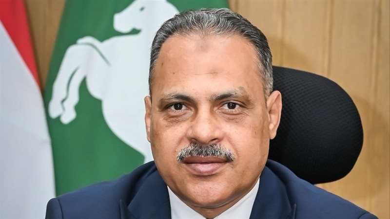 محافظ الشرقية 