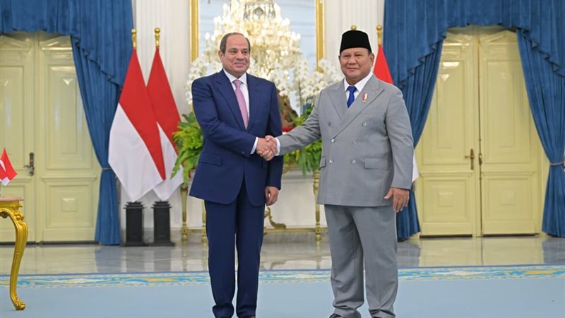 الرئيس السيسي ورئيس